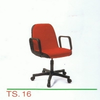 TS-16