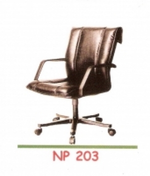 NP 203