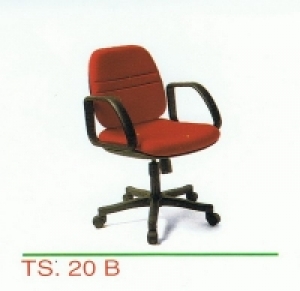 TS-20B