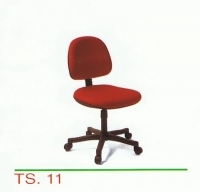 TS-11