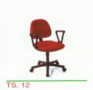 TS-12