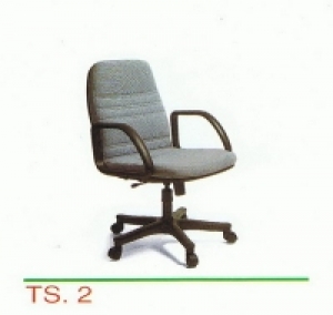 TS-2