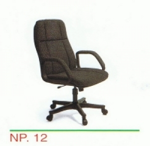 NP 12