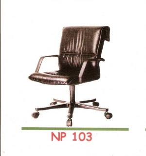 NP 103