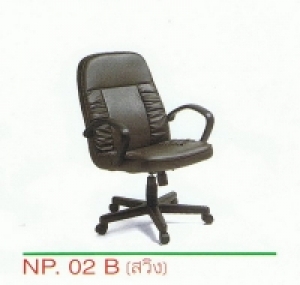 NP 02B