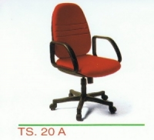 TS-20A