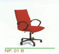 NP 01B